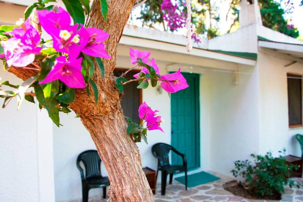 Myndos Bed & Breakfast Bodrum Luaran gambar